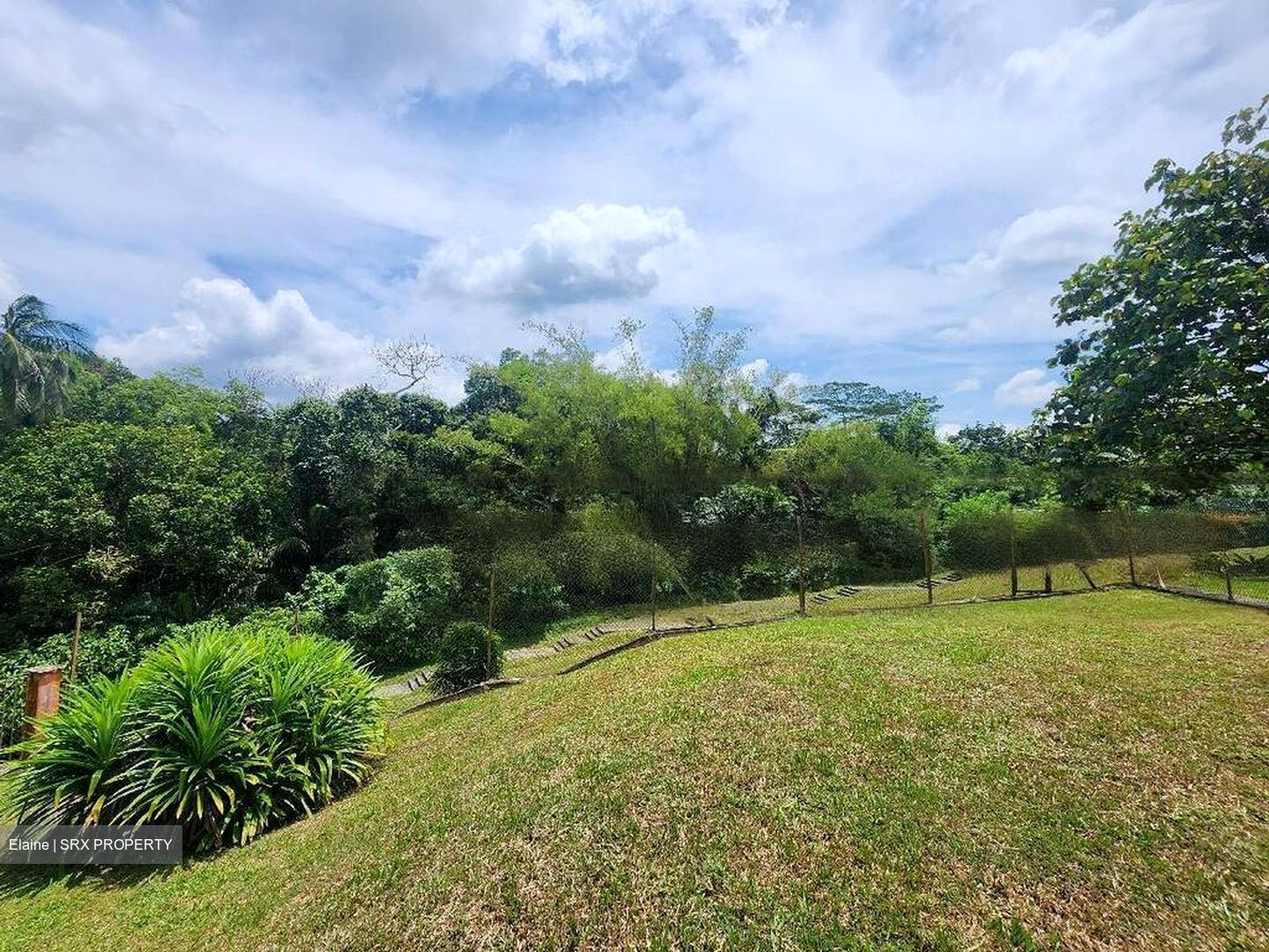 Windsor Park (D20), Detached #485214701